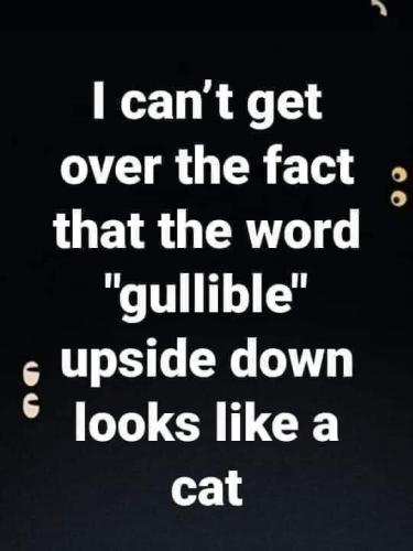 FB_IMG_1628651535669