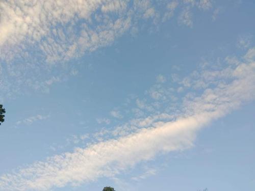 received_423084792465421