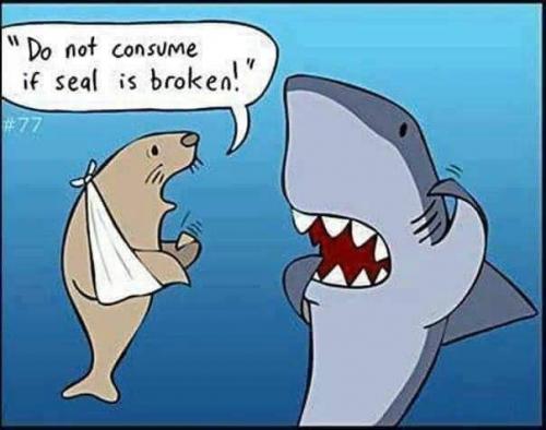 FB_IMG_1629292139083