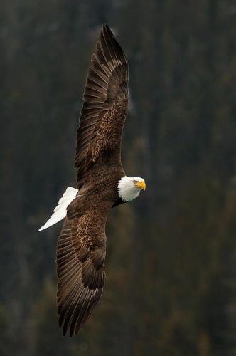 tumblr_cacb7eadbb0bd70e49d99a6ea3b1d59e_bf548b97_500