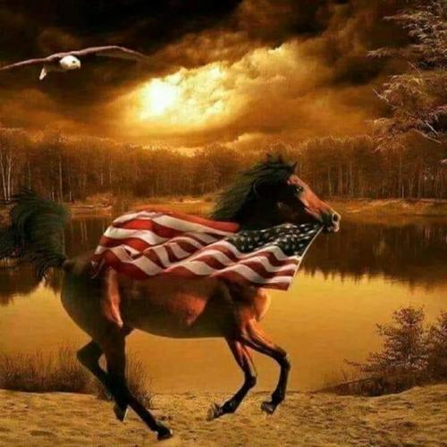 104538641_10217579627263096_2089724017479826941_n