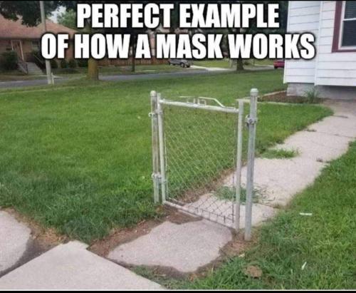 FB_IMG_1628389430387