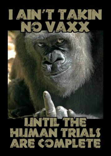 18:50:03 GMT-0500 (CDT).image