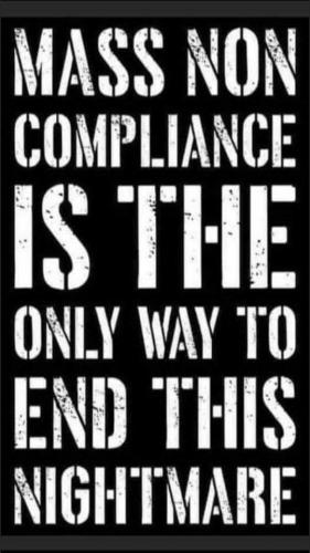 230400727_4653964501304303_1108794710671348210_n