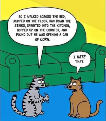 20:01:13 GMT-0700 (PDT)