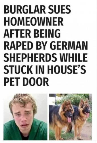 FB_IMG_1628289461194