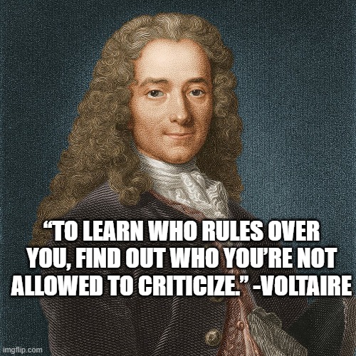 Voltaire - Logic 1
