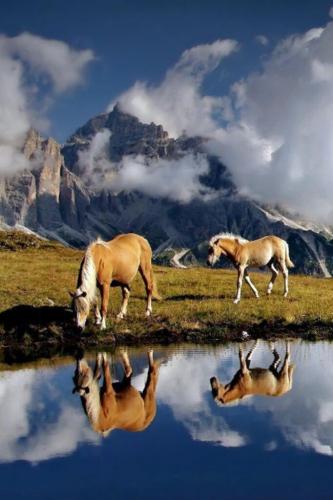 Horses grazing in pristine mountains