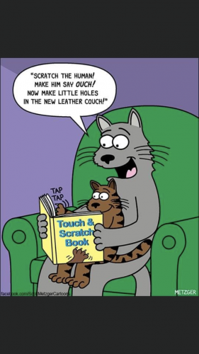 20:50:50 GMT-0500 (CDT).image