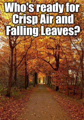 66051900_2050541931724065_3935206726319472640_n