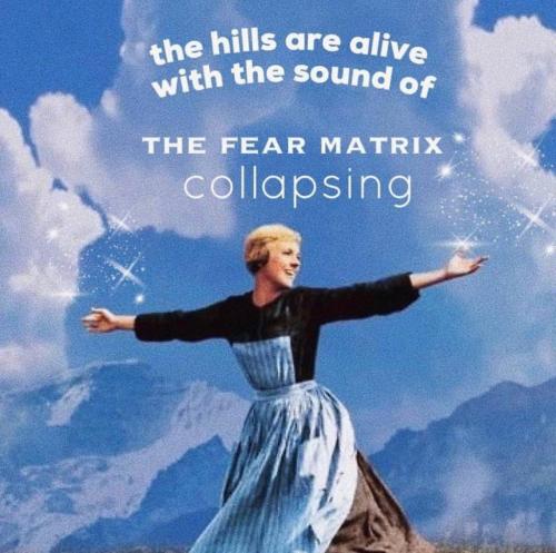 photo_2021-08-20_07-30-09