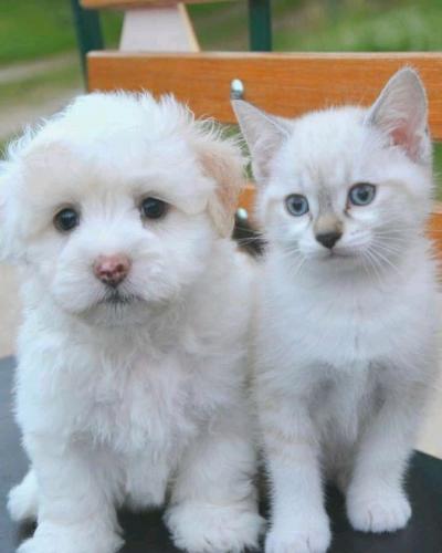 13:53:21 GMT-0700 (MST)