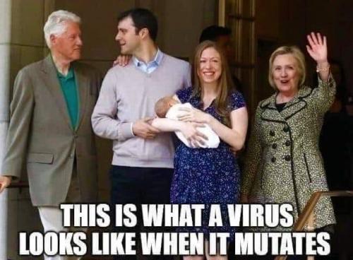 hillary virus m
