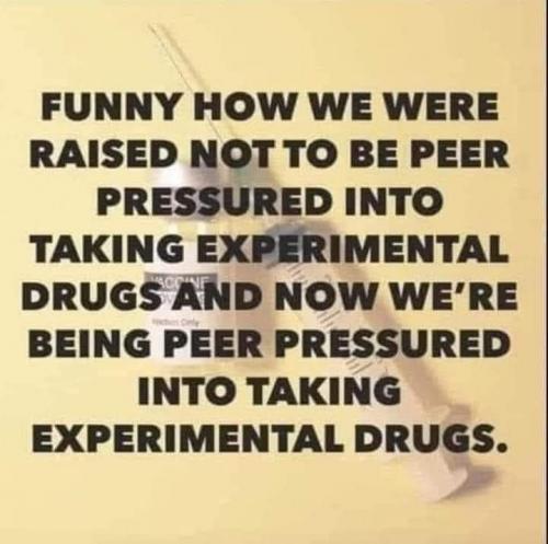 FB_IMG_1628273530163