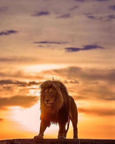 234661755_388116989358647_1839474386544016811_n