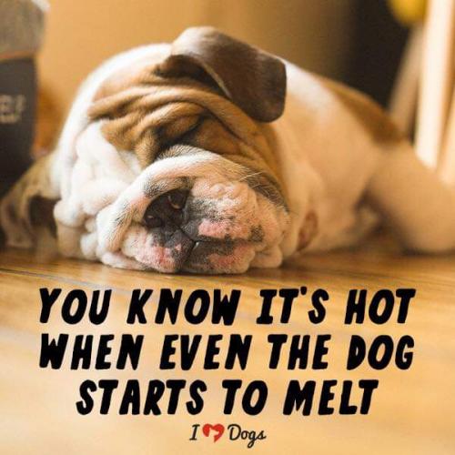 17:33:28 GMT-0700 (PDT)