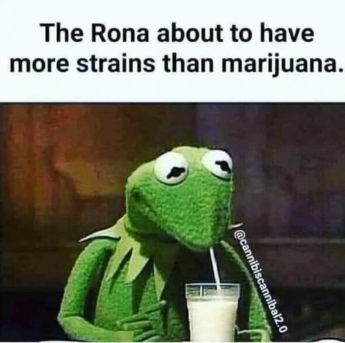 07:17:33 GMT-0500 (CDT).image