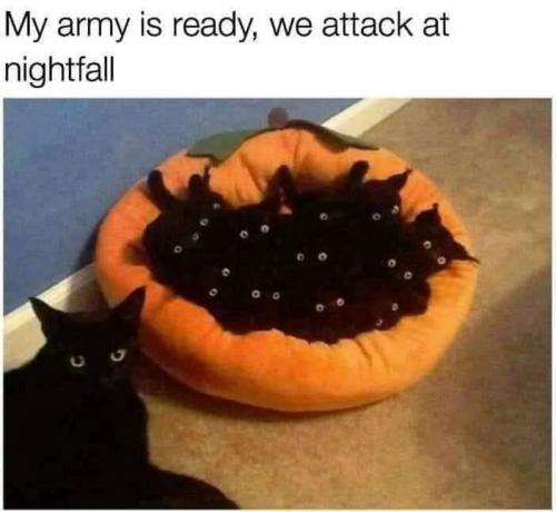 army ready