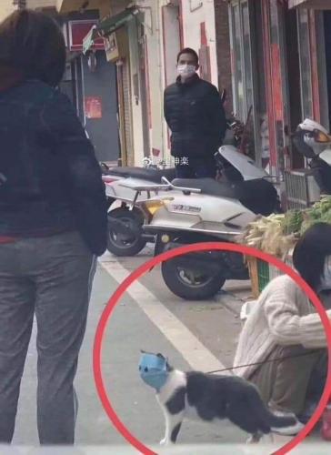 FB_IMG_1629102072373