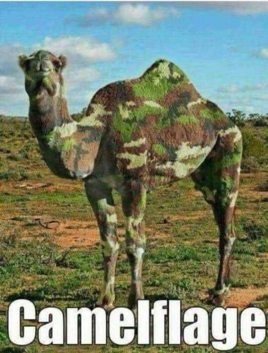 FB_IMG_1628935219448