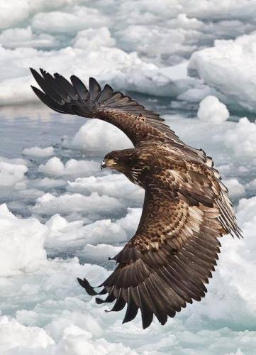 tumblr_p1rereqdgj1vludloo1_500