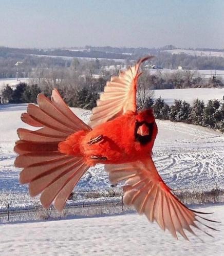 FB_IMG_1613321499307