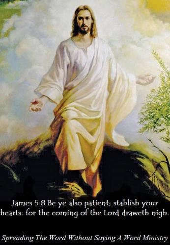 21032696_1508504349231691_2617865985109140400_n