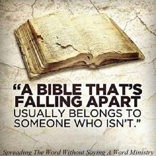 1001723_454453024653834_337954421_n