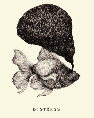 tumblr_9b8735e2985cfdb7c4222f551be39919_a71d09d0_540