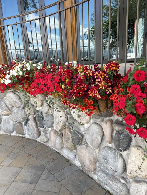 862944B5-5A35-463E-8B6F-638BC5A18077