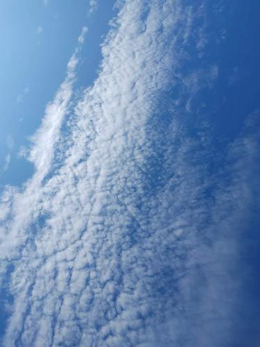 received_3120741138209330