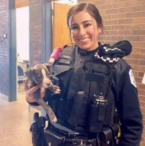 17:02:29 GMT-0500 (CDT).image