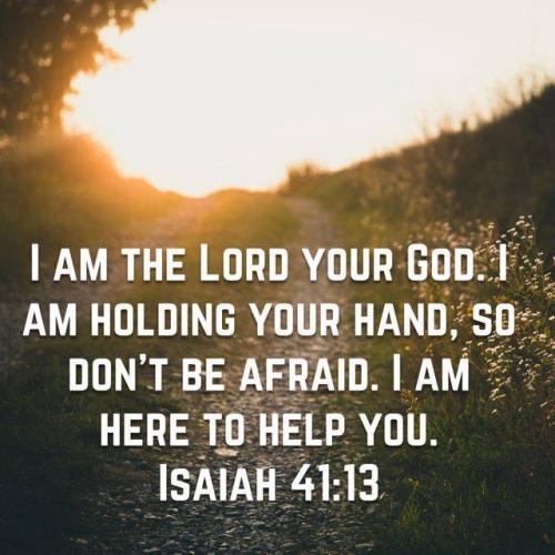 08:31:19 GMT-0400 (EDT)