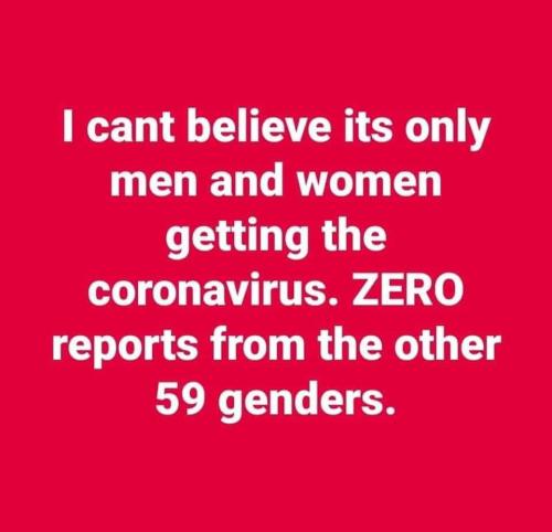 103269291_10163881803650105_8450678047023038464_n