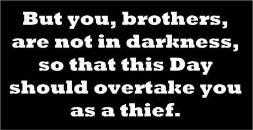 The called out ones are in the light