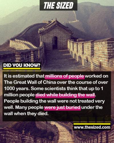 239563764_372058161027174_464766357380905441_n