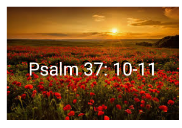 Psalm 37. 10-11