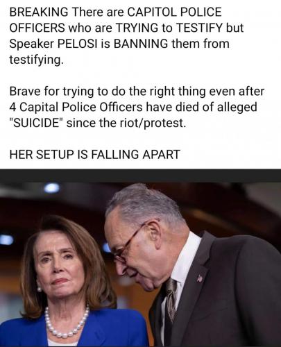 219358219_10227452946449168_5793511726236034956_n