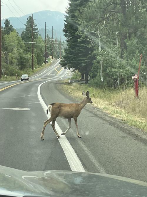 820CD2BC-AC08-4F02-9BCF-0CB255BC56B2