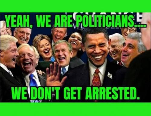 photo_2021-08-12_13-50-39