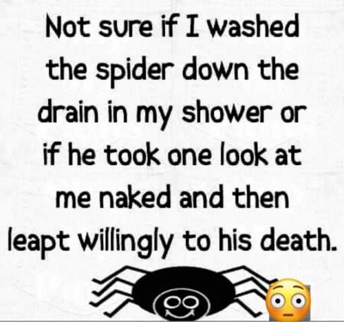 FB_IMG_1627823332663