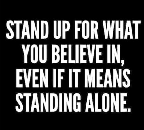 239414189_382254129934257_4159004243316506764_n
