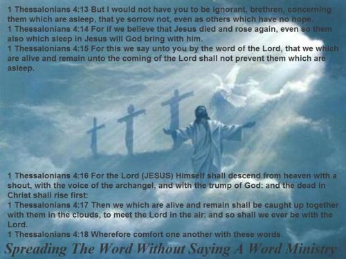 69400032_2323692157729902_6821808470199631872_n