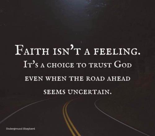 228873747_10227034665032167_8337187551057425923_n