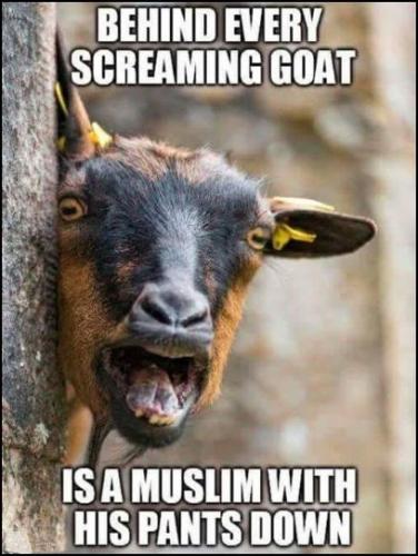 muslim119
