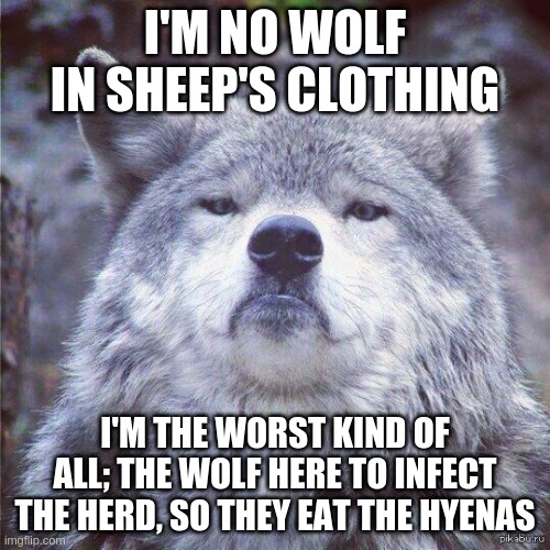 wolf in sheep's clothing