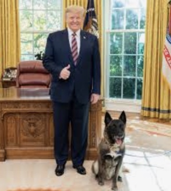 06:23:17 GMT-0400 (EDT).image