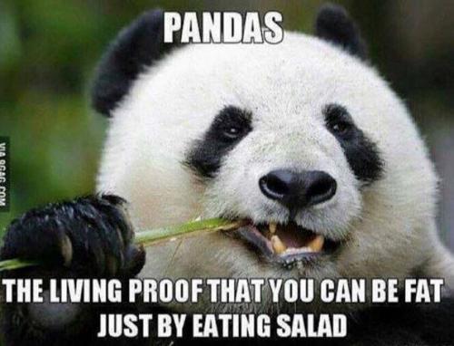 PANDA'S