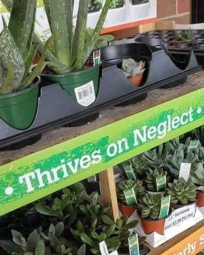 FB_IMG_1629982351926