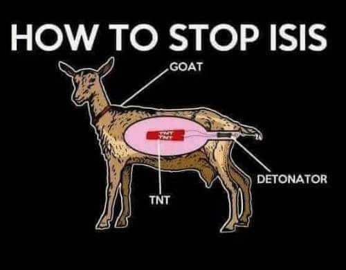 237912499_1054401338695455_4846398471249310070_n